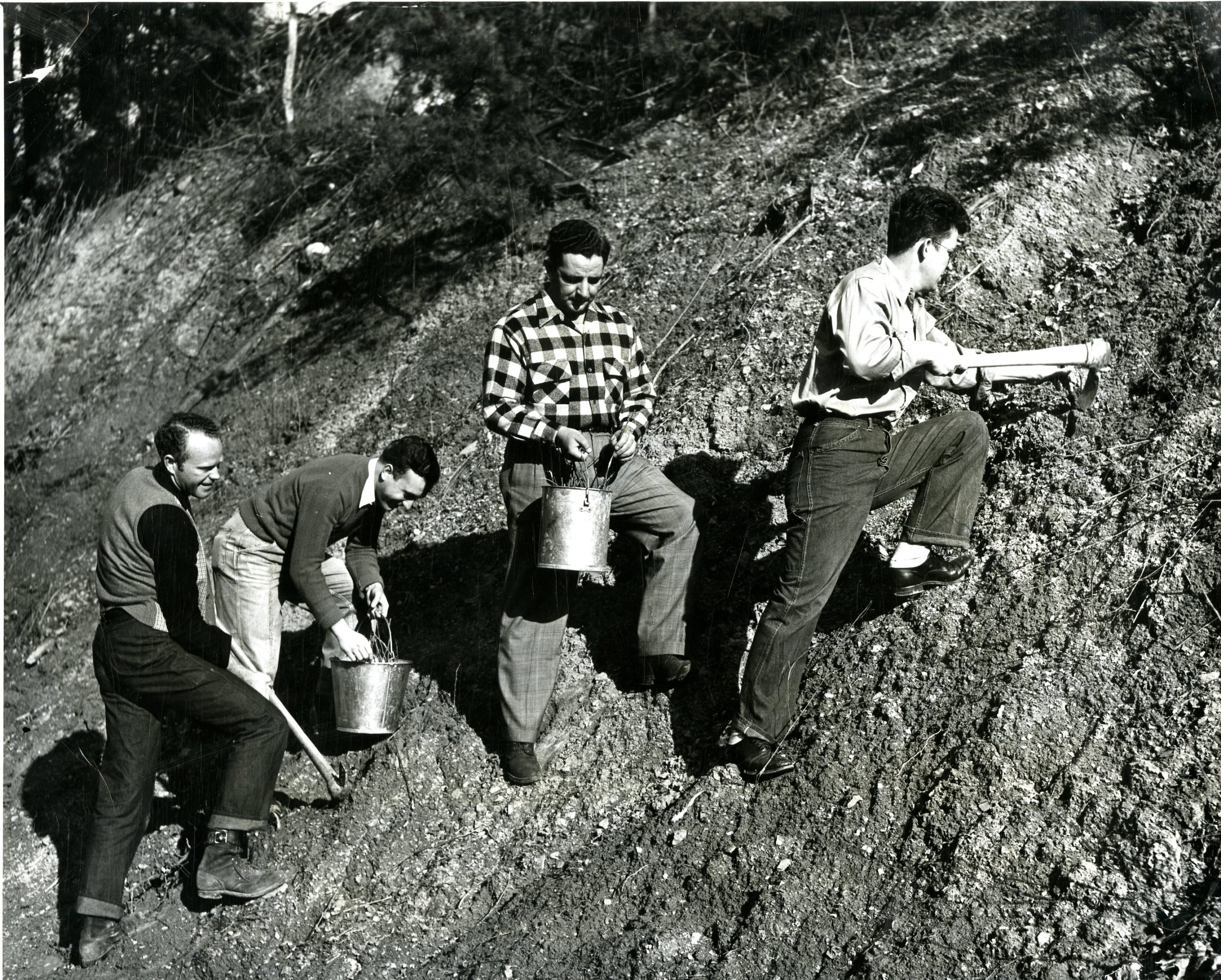 Four students with buckets and equipment on a hillside