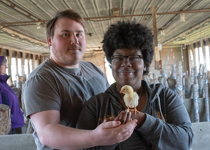 Students holding a chick